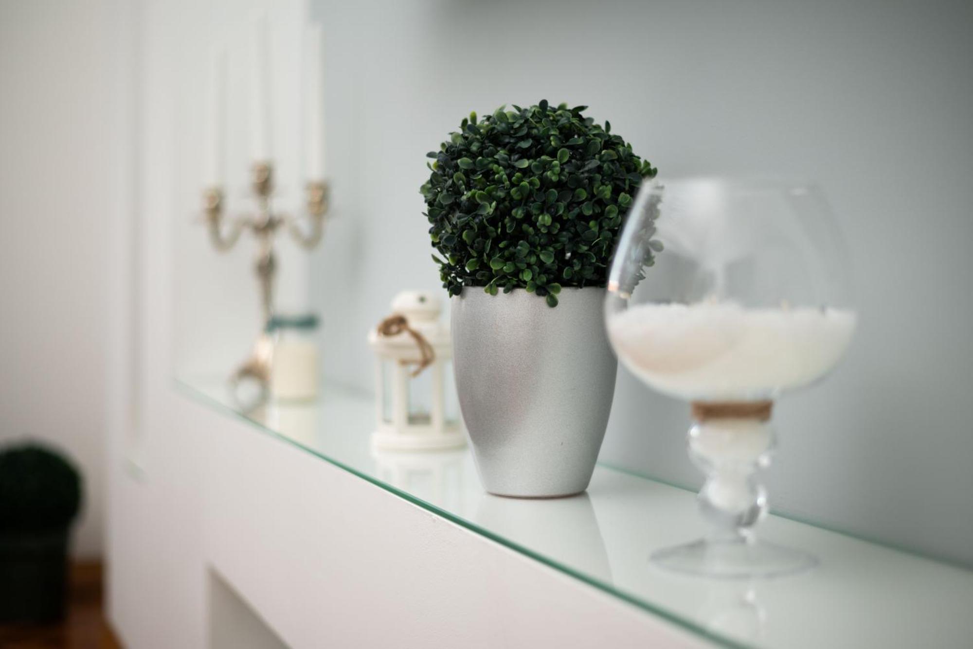 Apartment Primula Subotica Eksteriør billede